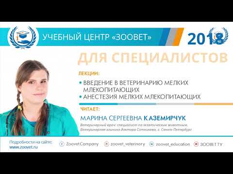 Видео: Каземирчук М. С. в УЦ «Зоовет» | ч.2