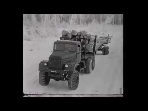 Видео: Проспихинский леспромхоз, 1970-е годы.