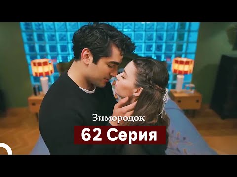 Видео: Зимородок 62 Cерия (Русский дубляж)
