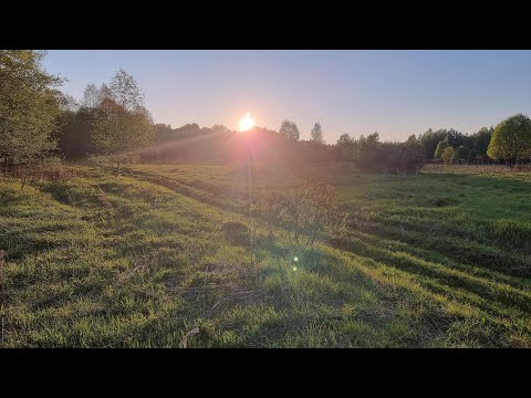 Видео: Сплав река Плюсса 210 км 6 дней пути. Май 2023г.