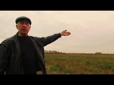 Видео: Свет забытой Непрядвы. Часть 09. Братская могила