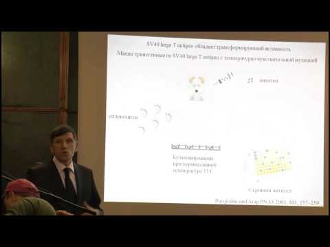 Видео: 1.03.16 | Филатов А.В. | Негибридомные методы получения моноклональных антител