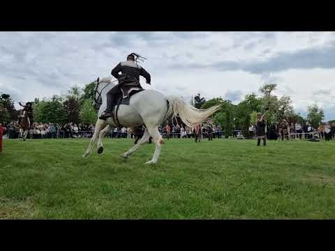 Видео: БагаТур в Севлиево