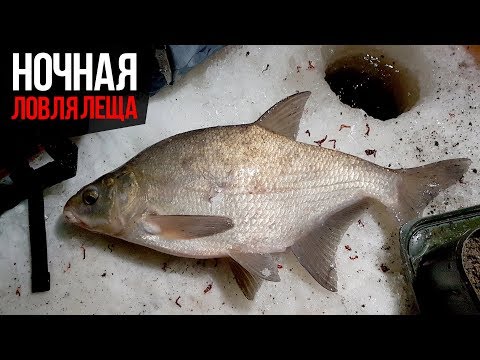 Видео: Зимняя рыбалка. Ловля леща зимой. Палатка, ночь, река Кашинка