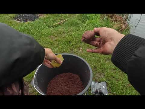 Видео: ЛОВЛЯ КАРАСЯ НА ПУФЫ! УЛОЖИЛ ТРЕНОГУ