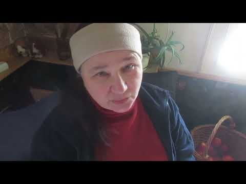 Видео: Как мы глистогоним  наших коз