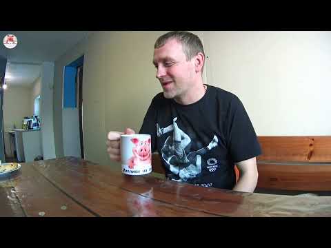 Видео: 377‼️Кормление супоросной свиньи с 90 дня‼️