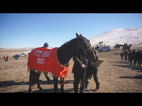 Видео: Конные скачки Аът чарыжы 17.03.21 Сүт-Хөл кожуун