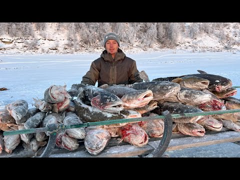 Видео: ТАКАЯ РЫБАЛКА БУДЕТ СНИТЬСЯ! НАЛОВИЛИ, АЖ НЕ УНЕСТИ! Шикарная рыбалка.
