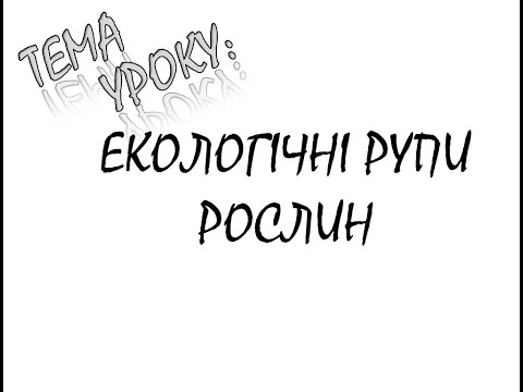 Видео: ЕКОЛОГІЧНІ ГРУПИ РОСЛИН