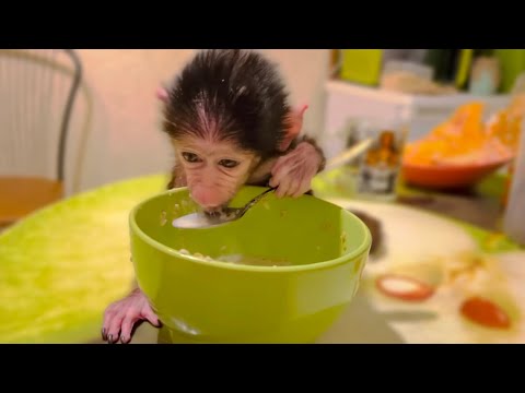 Видео: Посмотрите ЭТО видео! Люся ест САМА ЛОЖКОЙ! Осталось только заговорить!