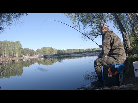 Видео: Ловля карася на китайское тесто. Херабуна - японская поплавочная снасть. Оснастка, техника ловли