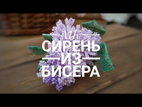 Видео: МК Сирень из бисера