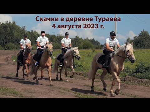 Видео: Скачки в д.Тураева, 4 августа 2023 г.