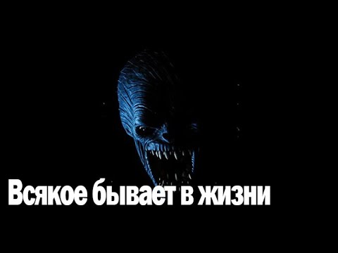 Видео: Всякое бывает в жизни. Страшные. Мистические. Творческие истории. Хоррор