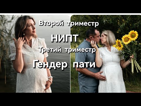 Видео: Второй и третий триместр беременности/НИПТ/Как рассказали друзьям о 🫄/Гендер пати