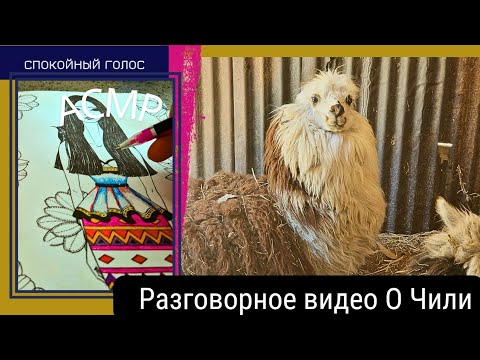 Видео: Для сна 😴  Разговорное Видео / Страна Чили / Тихий Голос Асмр / soft spoken ASMR