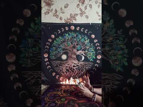 Видео: 🕊️ТАРО ДЛЯ МУЖЧИН. Высшие Силы хотят вам сказать#мысличувствадействия #tarot 🕊️