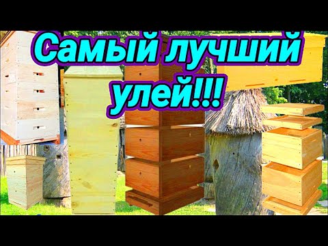 Видео: Какой самый лучший улей на пасеке?