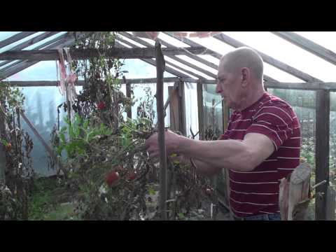 Видео: Дятьково-БЫТОШЬ-Дятьково