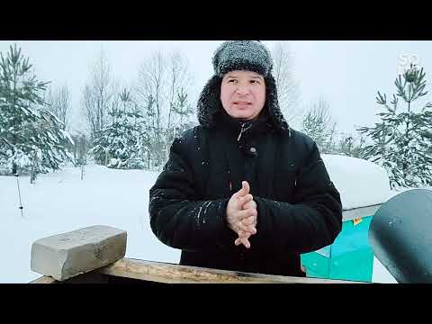 Видео: Зимовка пчел на ВЫСОКОЙ РАМКЕ.