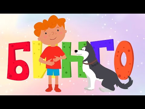 Видео: БИНГО 🐶 Изучаем буквы и животных – Сборник – Котэ ТВ – Песенки для малышей