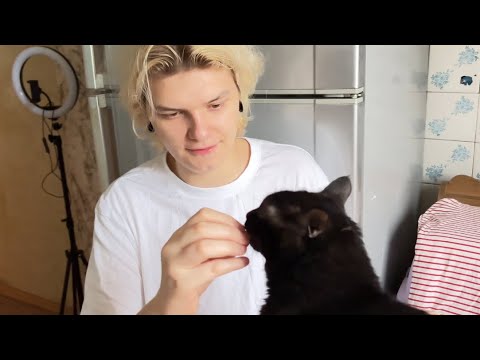 Видео: Один день из жизни Влада