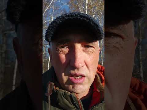 Видео: ⚡Реактивка "генерируется" в сеть? В сторону источника питания? Да что вы говорите?!🫣😳