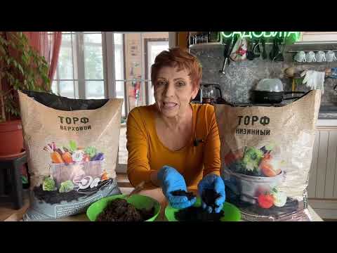 Видео: В чем отличие низинного торфа от верхового?