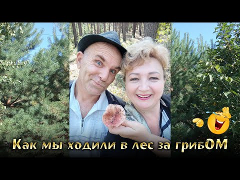 Видео: Как мы ходили в лес за грибОМ :)