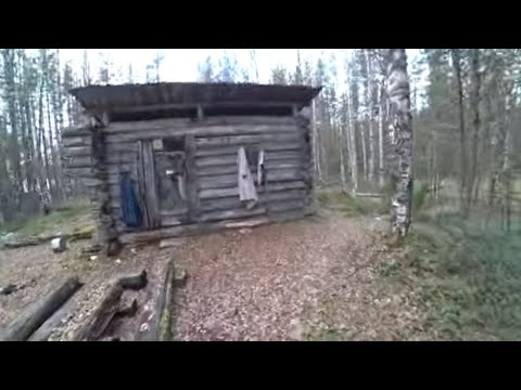 Видео: НА ИЗБУ С НОЧЕВКОЙ / ОХОТА НА КУНИЦУ КАПКАНАМИ / ГОТОВИМ РЯБЧИКА / часть 2