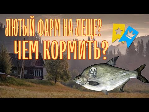 Видео: ЛЮТЫЙ ФАРМ НА ЛЕЩЕ? | ЧЕМ КОРМИТЬ?