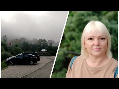 Видео: Vlog 150: Сходница в тумане.