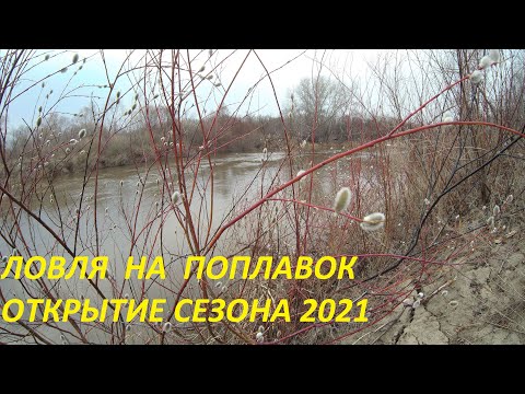 Видео: Рыбалка на поплавок в апреле . открытие сезона .