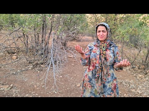 Видео: Горькая тайна бездомной матери. Признание, которое потрясает сердца!