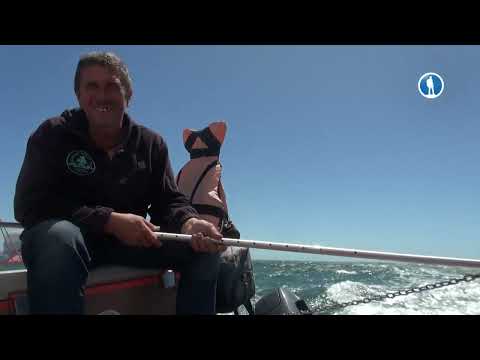 Видео: Переплыть океан. История реальной кругосветки. Часть 5. Мыс Горн