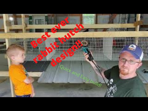 Видео: ЛУЧШИЙ дизайн клетки для кроликов ВСЕХ ВРЕМЕН! Сделай сам, дёшево и просто!