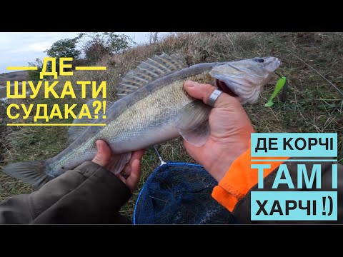 Видео: Де корчі там і харчі / де шукати Судака ?!