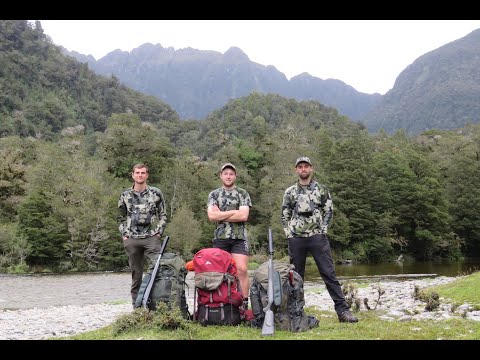 Видео: Фьордленд Вапити Бьюгл - Уайтуотер 2021