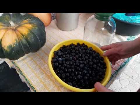 Видео: Наливка з терену для гемоглобіну))))