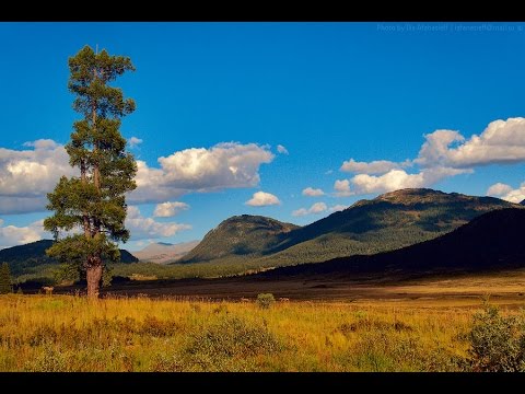 Видео: Путешествие к истокам Бухтармы
