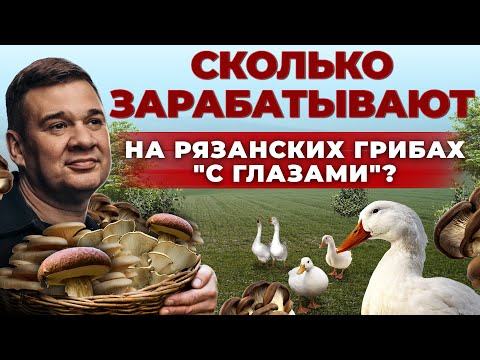 Видео: Как зарабатывают фермеры в Рязанской области | Грибы и Ферма уток | Бизнес в селе | Андрей Даниленко