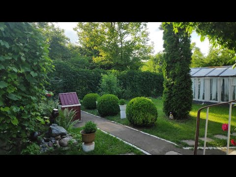 Видео: НЕСПІШНЕ   ЖИТТЯ   НА   ЧУДОВІЙ   ДАЧІ.#countryhouse  #делайкакя #дача 
