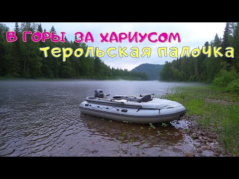 Видео: Ловля хариуса в Уральских горах. Тирольская палочка. По камням и мелям за хариусом. #1