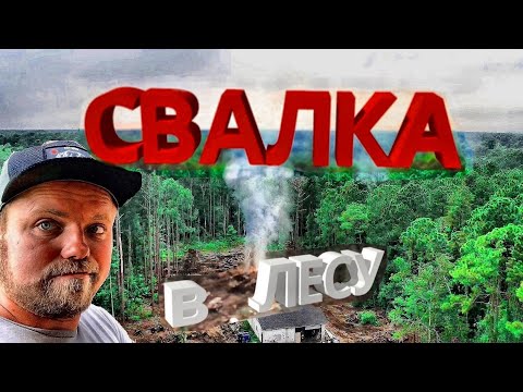 Видео: РАЗГРЕБАЮ СВАЛКУ. Спасаю ПРИРОДУ в США !