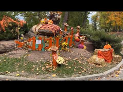 Видео: Парк Шевченка прикрасили до свят: де шукати казкову фотозону