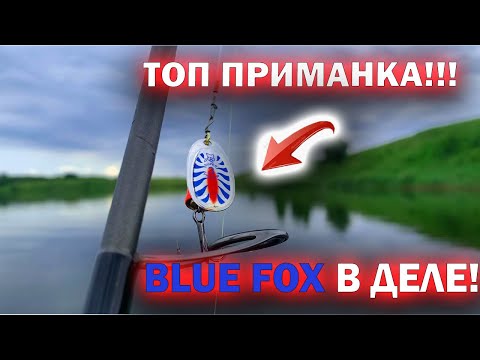 Видео: ЭТА ПРИМАНКА 100% ЛОВИТ ЩУКУ, ОКУНЯ и СУДАКА - Рыбалка на вертушку BLUE FOX. Рыбалка на спиннинг