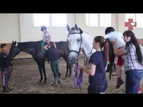 Видео: Почему иппотерапия лечит?
