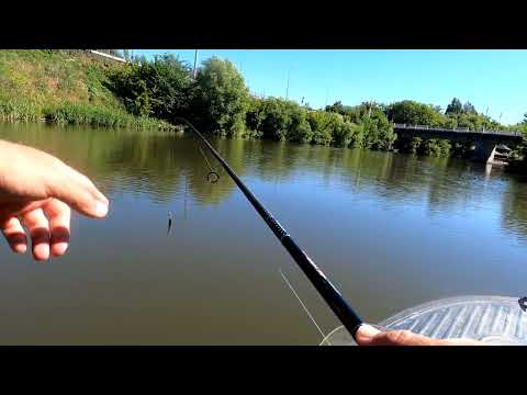 Видео: Разловил новый спининг Ronin Rush super Sonic