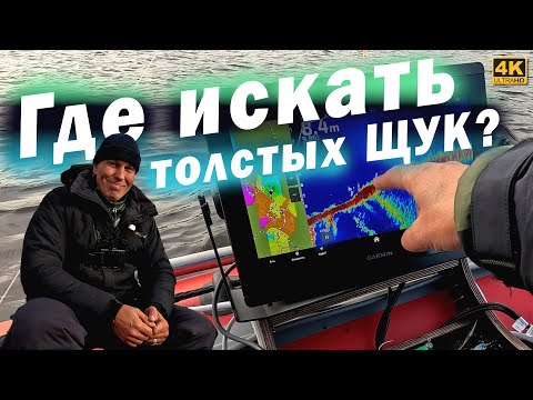 Видео: Где искать большую щуку и приманки. Рыбалка осенью 2024